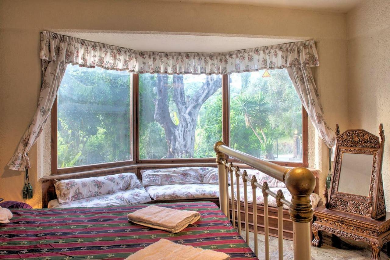 Villa Brigadoon Corfu 阿基奥斯·伊奥尼斯·佩里斯特 外观 照片
