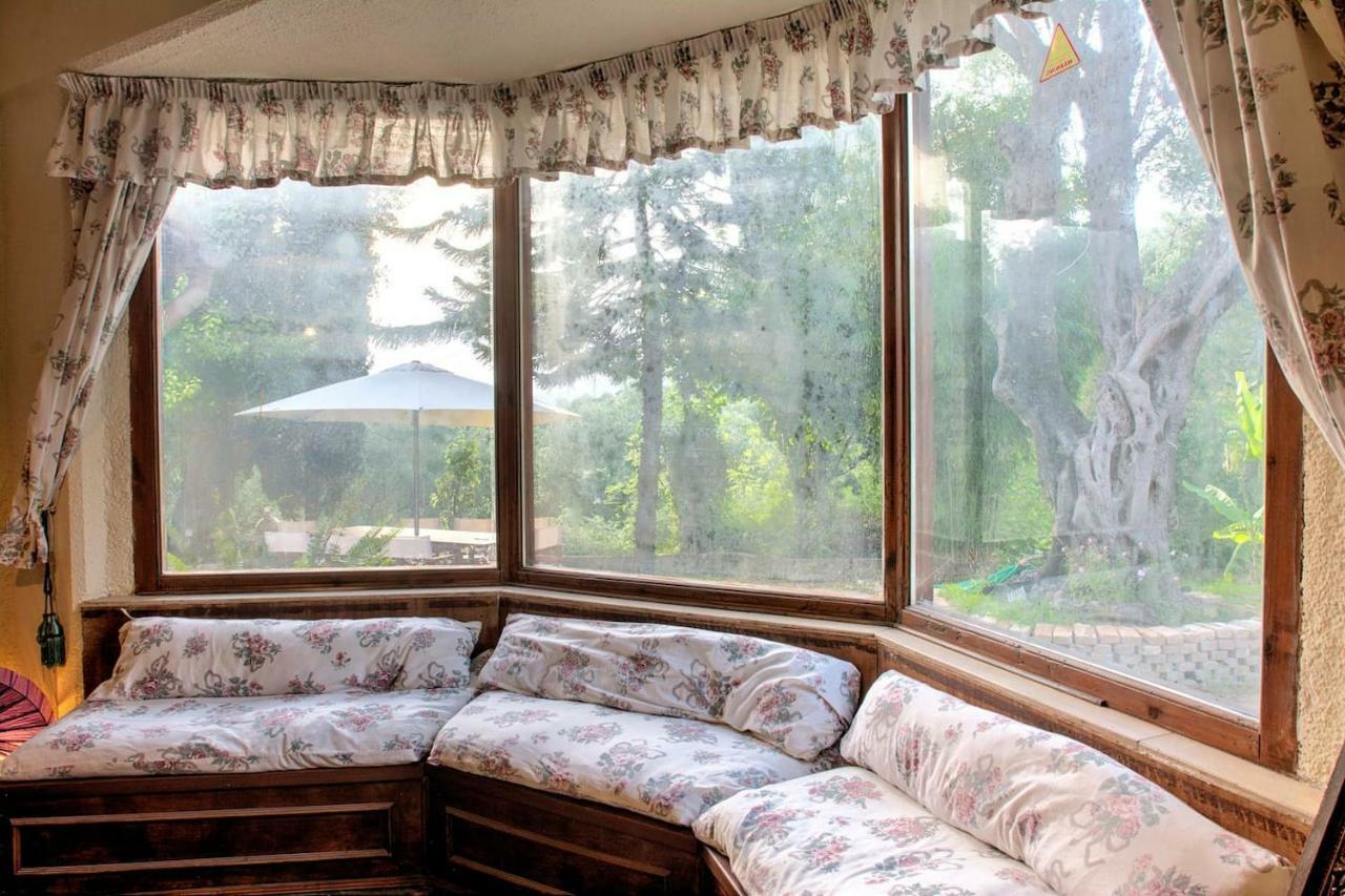 Villa Brigadoon Corfu 阿基奥斯·伊奥尼斯·佩里斯特 外观 照片
